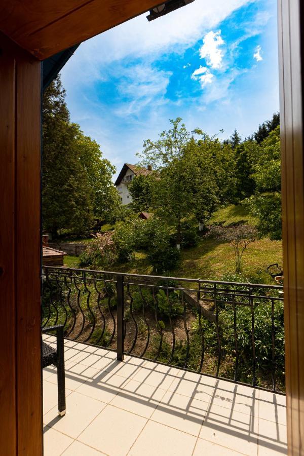 Casa Adalmo Otel Sighişoara Dış mekan fotoğraf